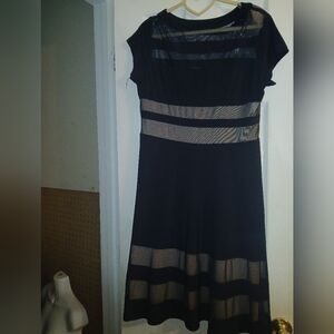 Elegant Black  Striped Dress
